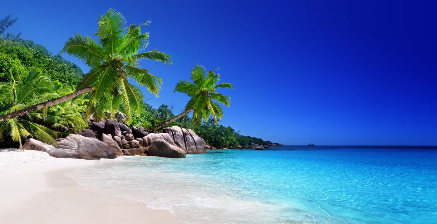 Foto mit Strand, blauem Meer und Palmen